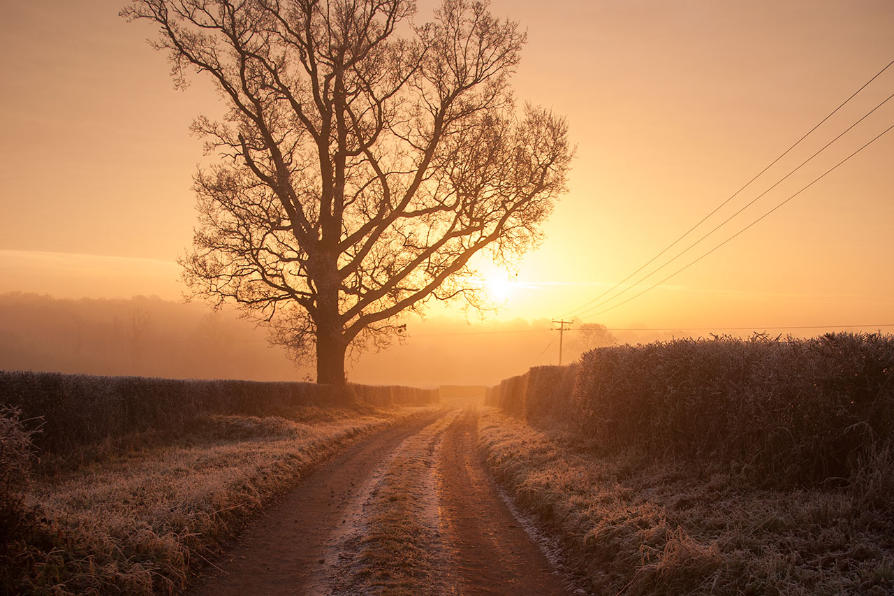 nr bore place dawn