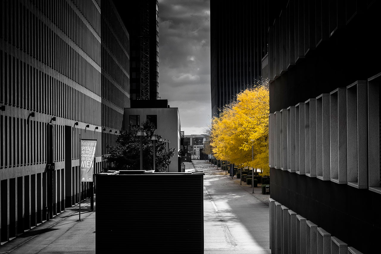 vienna autumn